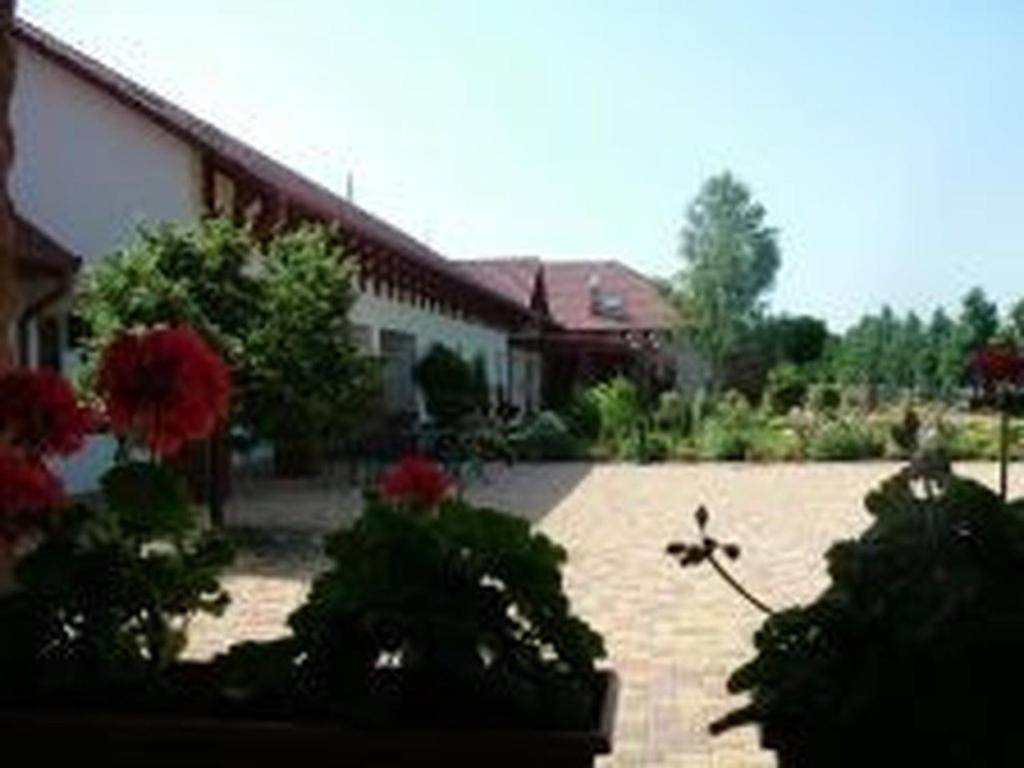 Bed and Breakfast Verba Tanya Kotaj Exterior foto