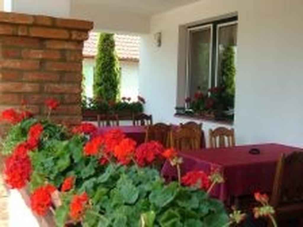Bed and Breakfast Verba Tanya Kotaj Exterior foto